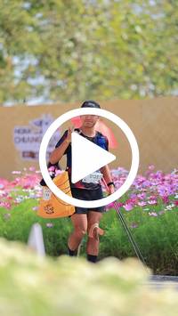 BIB:  <button type="button" onclick="openModal(27585054)" class="btn btn-primary btn-sm float-right" data-toggle="modal" data-target=".modal-high-quality">
                <i class="fa fa-download"></i> Download
                </button>